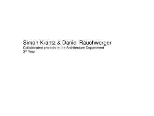 Simon Krantz &amp; Daniel Rauchwerger Collaborated projects in the Architecture Department 3 rd  Year