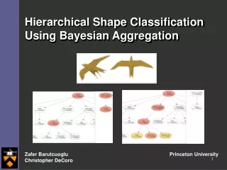 Hierarchical Shape Classification Using Bayesian Aggregation