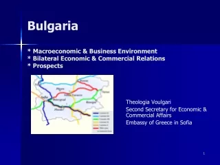Theologia Voulgari Second Secretary for Economic &amp; Commercial Affairs  Embassy of Greece in Sofia