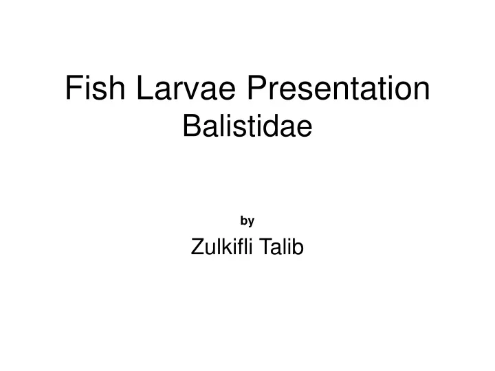 fish larvae presentation balistidae
