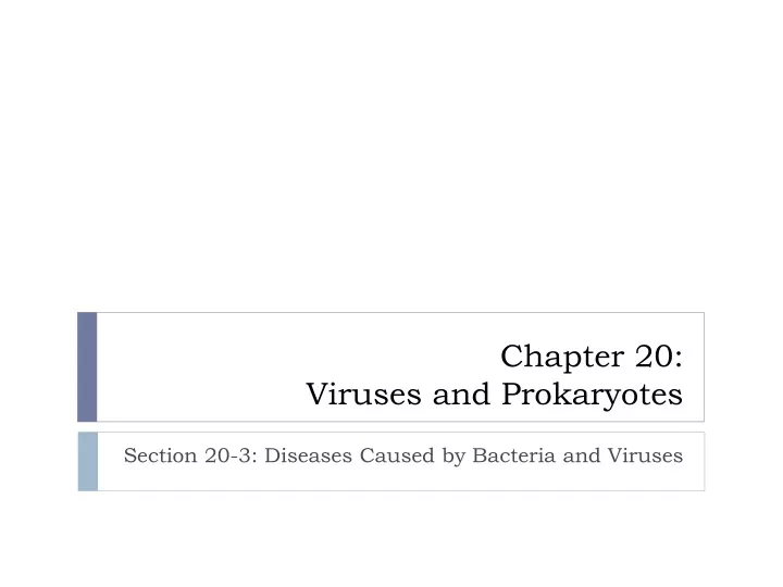 chapter 20 viruses and prokaryotes