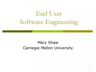 End User  Software Engineering