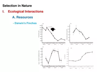 Selection in Nature Ecological Interactions A. Resources   - Darwin’s Finches