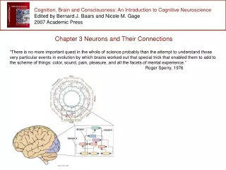 Cognition, Brain and Consciousness: An Introduction to Cognitive Neuroscience
