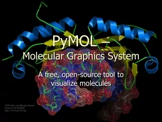 PyMOL  – Molecular Graphics System
