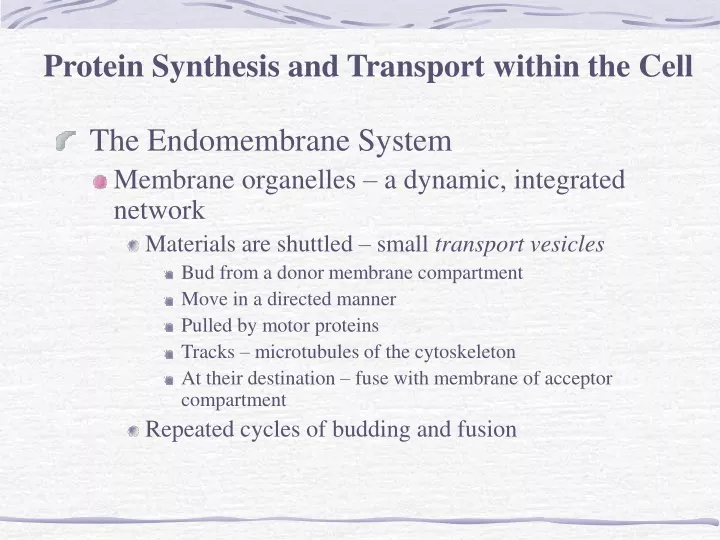 protein synthesis and transport within the cell