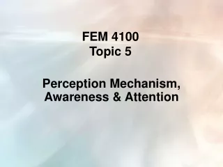 FEM 4100  Topic 5