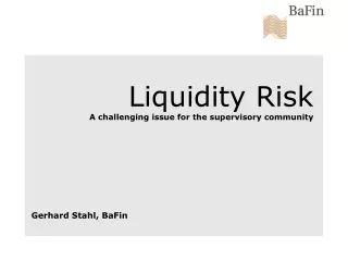 Liquidity Risk A challenging issue for the supervisory community