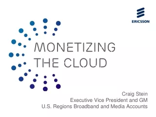 Craig Stein Executive Vice President and GM  U.S. Regions Broadband and Media Accounts
