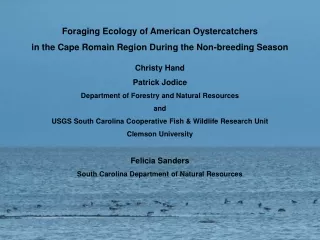 Foraging Ecology of American Oystercatchers
