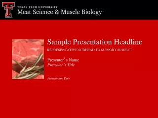 Sample Presentation Headline REPRESENTATIVE SUBHEAD TO SUPPORT SUBJECT