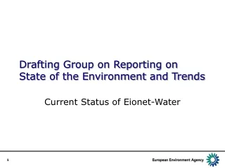 Drafting Group on Reporting on State of the Environment and Trends