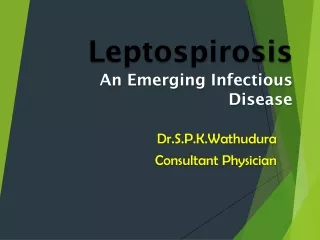 Leptospirosis An Emerging Infectious Disease
