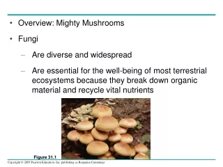 Overview: Mighty Mushrooms Fungi Are diverse and widespread