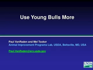 Use Young Bulls More