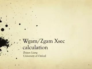 Wgam/Zgam Xsec calculation
