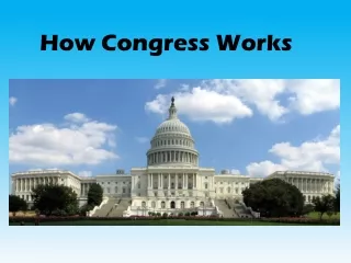 How Congress Works