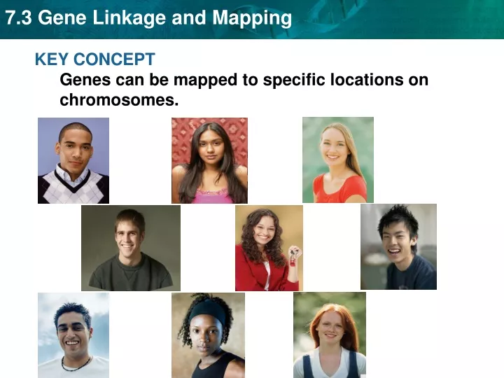 key concept genes can be mapped to specific