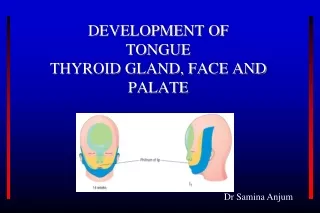 DEVELOPMENT OF  TONGUE  THYROID GLAND, FACE AND PALATE