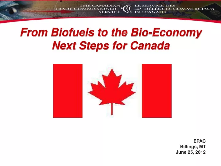 from biofuels to the bio economy next steps