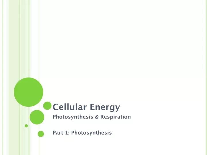 cellular energy