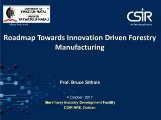 Roadmap Towards Innovation Driven Forestry Manufacturing Prof. Bruce Sithole