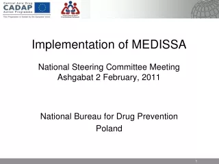 Implementation of MEDISSA National Steering Committee Meeting Ashgabat  2  February, 2011