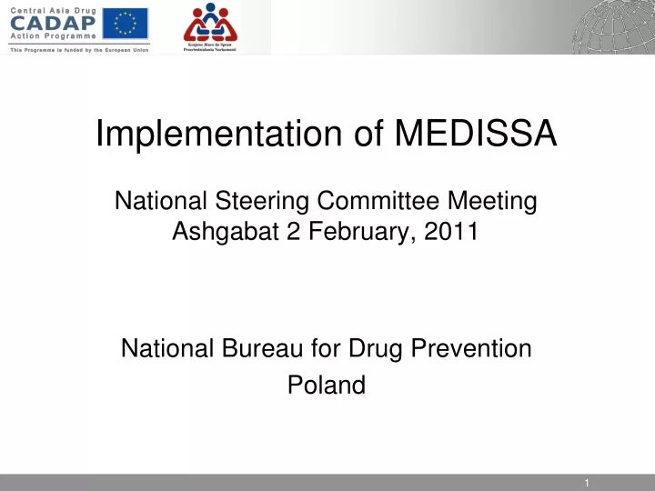 implementation of medissa national steering committee meeting ashgabat 2 february 2011