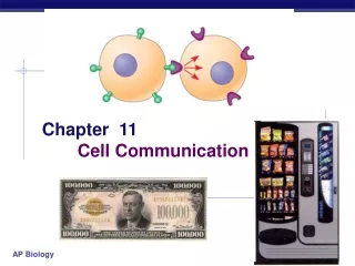 Chapter  11 Cell Communication