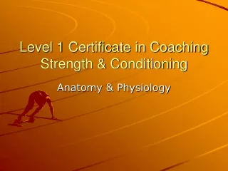 Level 1 Certificate in Coaching Strength &amp; Conditioning