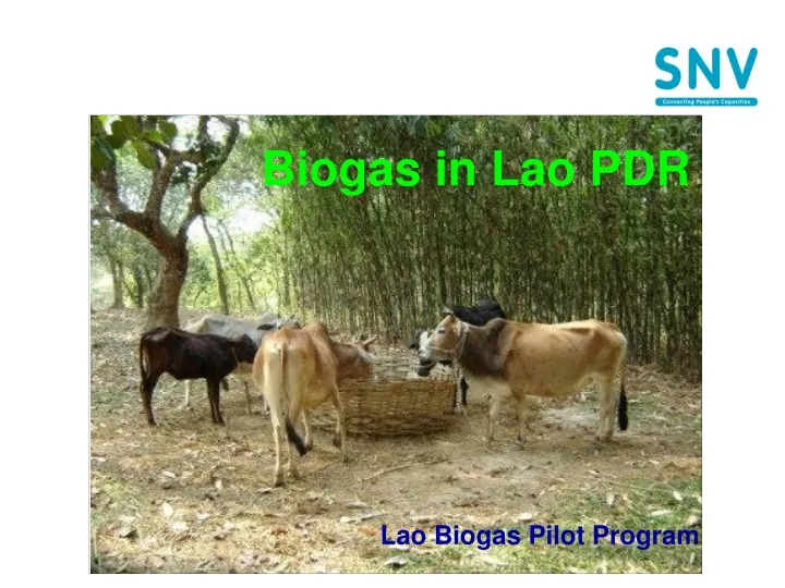 biogas in lao pdr