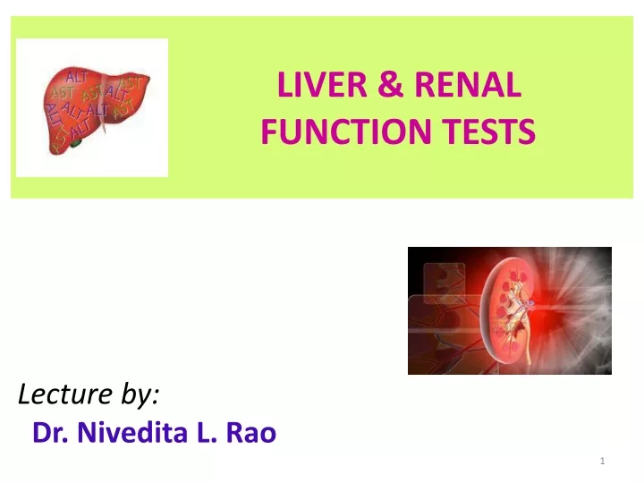 liver renal function tests