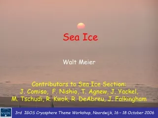 Sea Ice