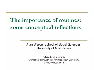 The importance of routines: some conceptual reflections
