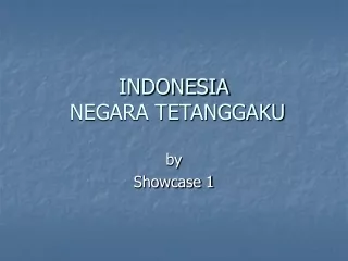INDONESIA  NEGARA TETANGGAKU
