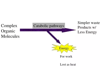 Complex   Organic  Molecules