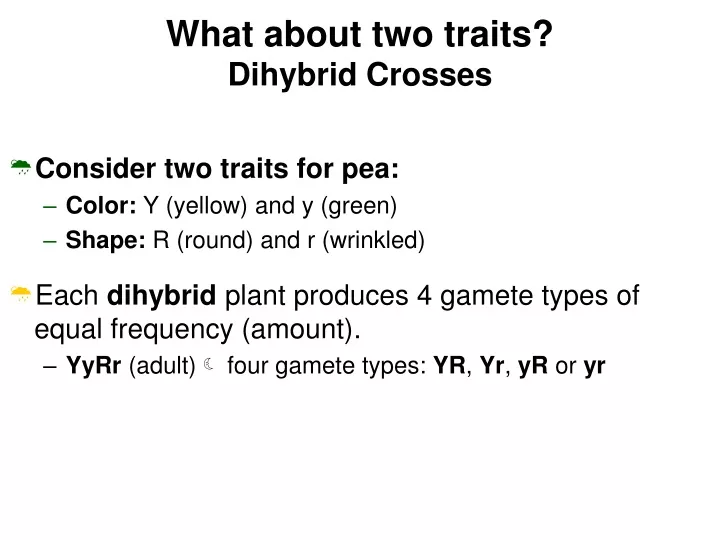 what about two traits dihybrid crosses