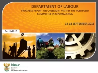 DEPARTMENT OF LABOUR PROGRESS REPORT ON OVERSIGHT VISIT BY THE PORTFOLIO COMMITTEE IN MPUMALANGA