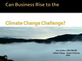 Can Business Rise to the  Climate Change Challenge?