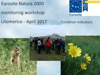 Eurosite Natura 2000  monitoring workshop  Litomerice - April 2017