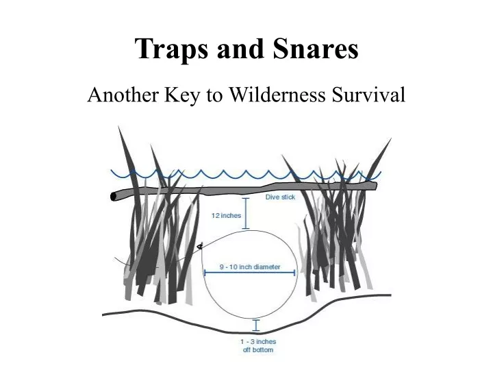 traps and snares