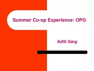 Summer Co-op Experience: OPG