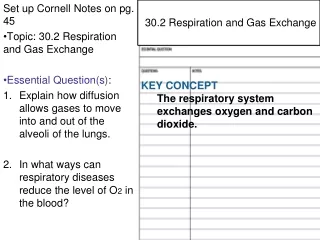 Set up Cornell Notes on pg. 45 Topic: 30.2 Respiration and Gas Exchange Essential Question(s) :