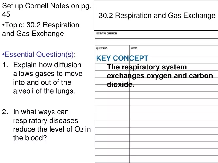 30 2 respiration and gas exchange