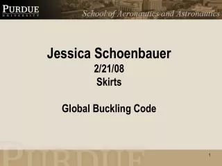 Jessica Schoenbauer 2/21/08 Skirts Global Buckling Code