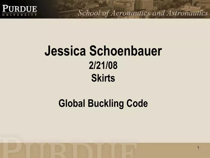 jessica schoenbauer 2 21 08 skirts global buckling code