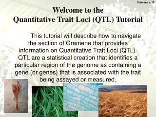 Welcome to the  Quantitative Trait Loci (QTL) Tutorial