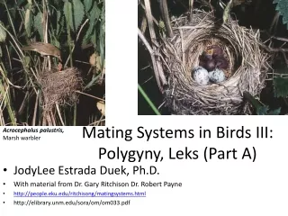 Mating Systems in Birds III:  Polygyny ,  Leks  (Part A)