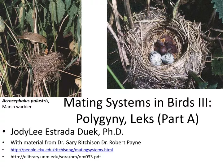 mating systems in birds iii polygyny leks part a