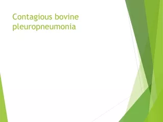 Contagious bovine pleuropneumonia